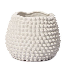 Load image into Gallery viewer, Mode Porci Vase - Small