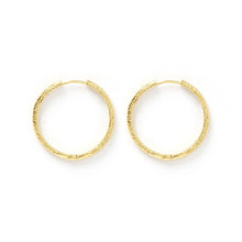 Load image into Gallery viewer, Sebastian Gold Hoop Earrings