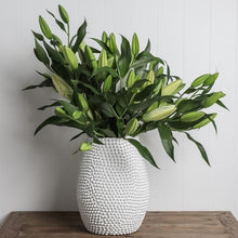 Load image into Gallery viewer, Mode Porci Vase - Large