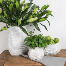 Load image into Gallery viewer, Mode Porci Vase - Small