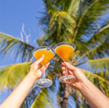 Load image into Gallery viewer, Mr Consistent  Cocktail Mixes- Pash Inn