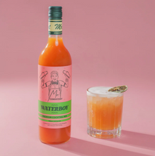 Load image into Gallery viewer, Mr Consistent Cocktail Mixes- Waterboy