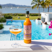 Load image into Gallery viewer, Mr Consistent  Cocktail Mixes- Pash Inn