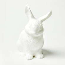 Load image into Gallery viewer, Bunny Money Box - White
