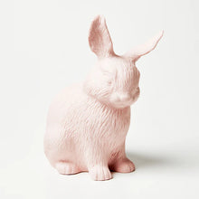 Load image into Gallery viewer, Bunny Money Box - Pink