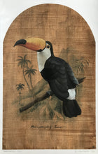 Load image into Gallery viewer, Lara Ford Ramphastos Toco