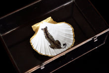 Load image into Gallery viewer, Scallop - Leopard