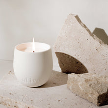 Load image into Gallery viewer, Sweet Dewberry &amp; Clove Soy Candle